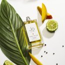 파란망고 이미지