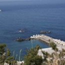 옥계해수욕장(숲) 이미지