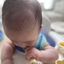 아기숟가락 | 잼먹 이유식 스푼 실리콘 아기 숟가락, 떠먹스푼 땅콩스푼 비교 후기