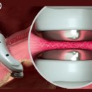 도야동물병원 이미지