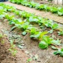 양양비치펜션 이미지