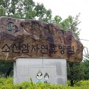 소선암휴양림식당 이미지