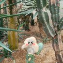 이가네(바지락,오만둥이)칼국수 이미지