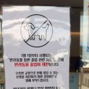 제주탐스런귤자매 | 제주 자매국수 후기｜웨이팅 있어도 찾게 되는 제주공항 근처 고기국수 맛집