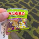 만조 | 창원 동읍 숨은 맛집 깊은 국물의 감동 만조칼국수 방문 후기