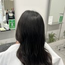 민주살롱 네이버블로그