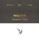 스테이월든 이미지