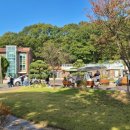 대건조이 이미지