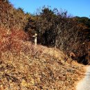 매화골농장 | [경상남도 하동군] 미동마을