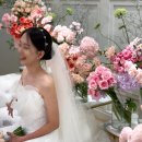 내돈내산 본식 아이폰 스냅 ★찐강추★ 후기 [레쥬르 스냅]