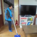 늘푸르미 이미지