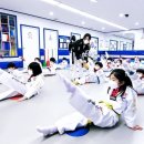 비젼태권도 이미지