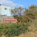 청진식품 이미지