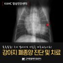 투투 동물병원 이미지