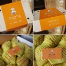 디자인농장 이미지
