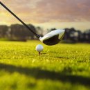 몸에 좋은 골프 이미지