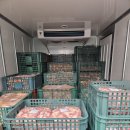 장수 유통 이미지