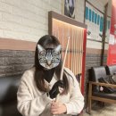 오렌지 당구장 이미지