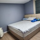 다임 솔카운티 이미지