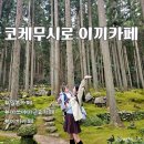 마쓰야마 근교 드라이브 코스 코케무시로 이끼 정원 카페