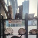 심마니약초삼계탕 이미지