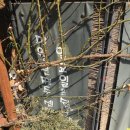 만두품은칼국수 이미지