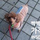 이편한도그 이미지