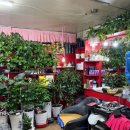 영아미용실 이미지