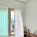 이호랑37 이미지