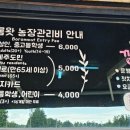 표선카페