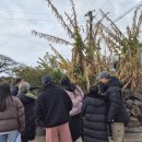 서귀포시동부도서관 이미지