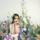 다채플라워스튜디오