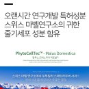 손 헤어필