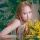 예은푸드 - 고양시 일산서구 | 예은푸드