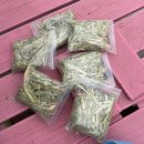 (주)리더애니퍼스트 | [평창 가볼만한곳] 애니포레 | 모노레일타고 알파카, 양떼 보고 왔어요-!