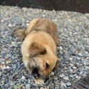 부림2농장 이미지