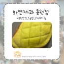 창원 용원 소금빵 맛집 , 화연제과 내돈내산 후기 (소금빵 , 수제쿠키 , 모찌빵 등)