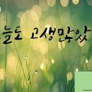 토다기