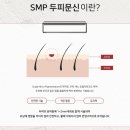 임플레오