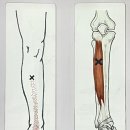 다담한의원 이미지