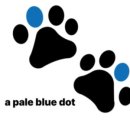 페일블루닷 이미지