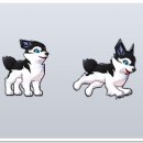 펫 가디언 이미지