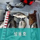 성용호 - 2302 | 성용호