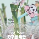 호계사랑어린이집