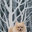 블랑드펫 이미지