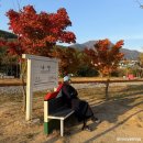 남면오일시장 | [블챌] 집순이의 외출 폭주 여주 파주아울렛부터 정선 단풍여행까지