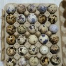 명바위농산 이미지