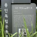 이한응 묘소 이미지