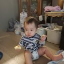 (생후 349일~353일) 할미와 사니 개인기 마구 생기는 바인이, 박수, 만세, 뽀뽀, 11개월아기 - 육아일기