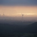 김용우 행정사 이미지